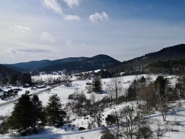 mountain view
