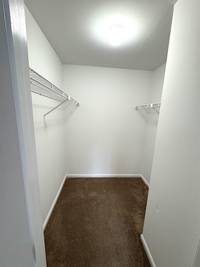 walk in closet featuring carpet floors