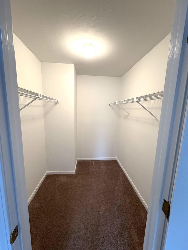 spacious closet with carpet floors