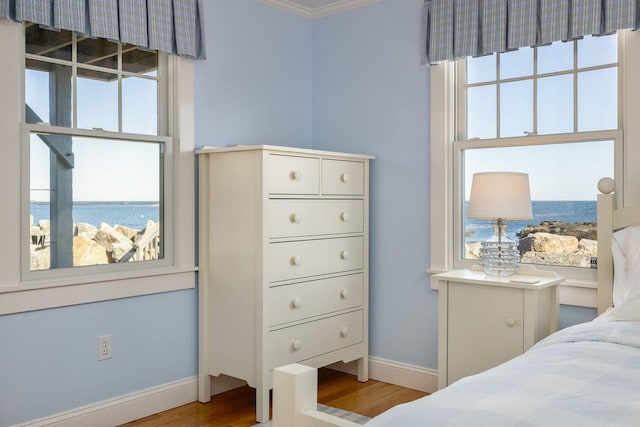 bedroom with multiple windows, baseboards, and wood finished floors