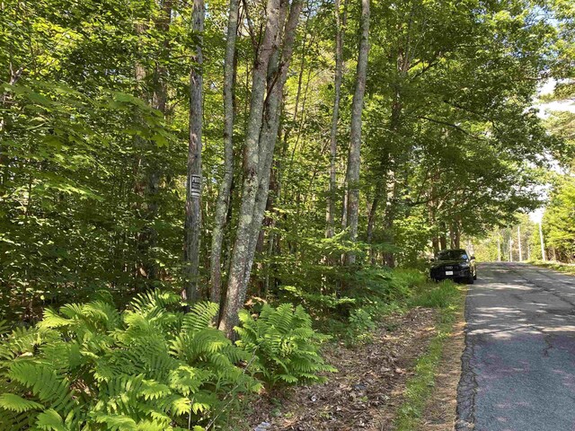 18 Catamount Rd, Pittsfield, NH 03263