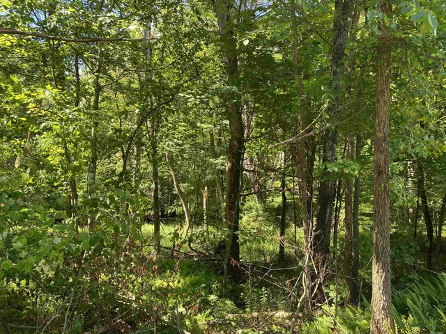 18 Catamount Rd, Pittsfield, NH 03263