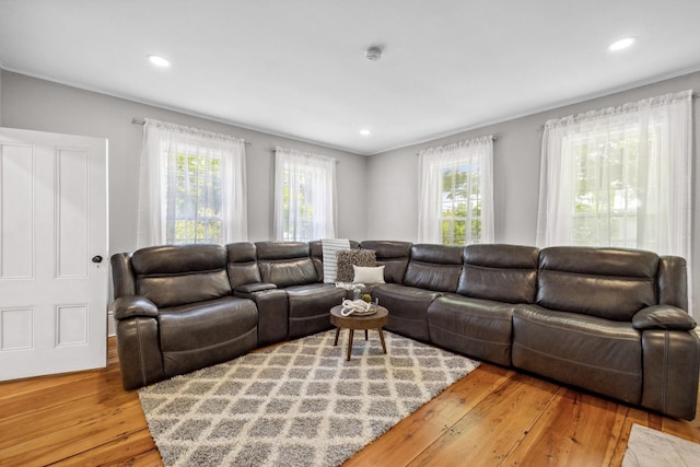 51 E Derry Rd, Derry, NH 03038 - living room with recessed lighting, plenty of natural light, and wood finished floors