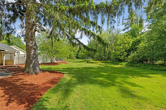 51 E Derry Rd, Derry, NH 03038 - view of yard