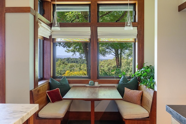 dining area featuring a wealth of natural light and breakfast area