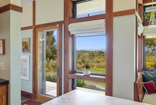 doorway to outside featuring a healthy amount of sunlight