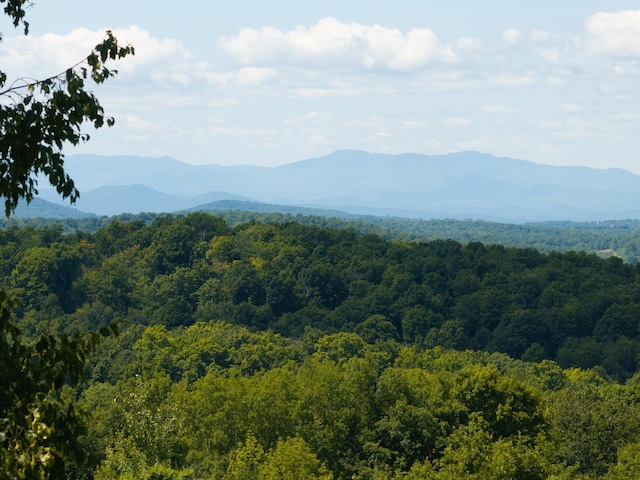 property view of mountains with a view of trees