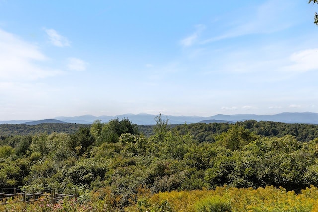 view of mountain feature with a wooded view