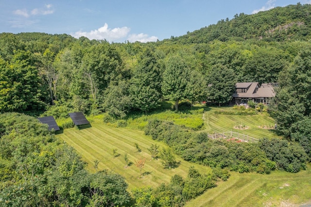 bird's eye view with a rural view and a wooded view
