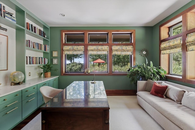 office space featuring built in features