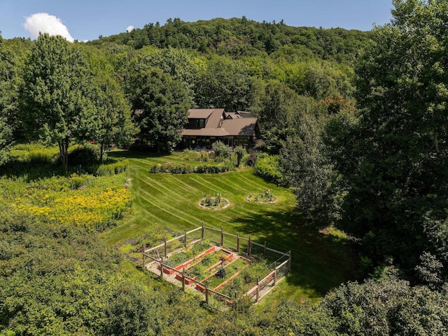 drone / aerial view with a rural view and a forest view