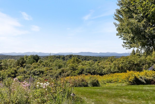 property view of mountains featuring a forest view