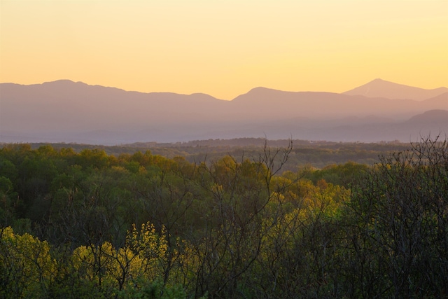 mountain view featuring a forest view