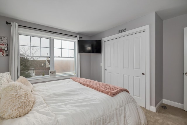 bedroom with a closet, baseboards, multiple windows, and carpet floors