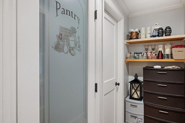9 Sands Ter, Barnstead, NH 03225 - view of pantry
