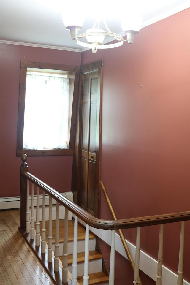 63 Province St, Richford, VT 05476 - staircase featuring ornamental molding and hardwood / wood-style flooring