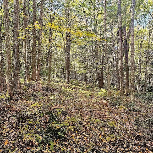 00 Tarbell Hill Rd, Weathersfield, VT 05151
