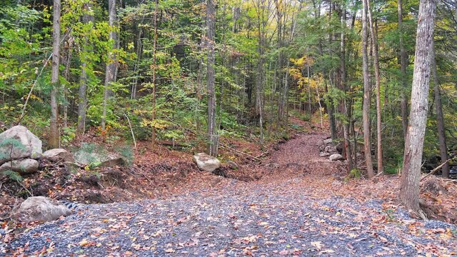 00 Tarbell Hill Rd, Weathersfield, VT 05151