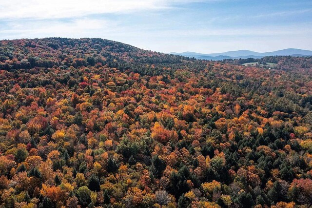 00 Tarbell Hill Rd, Weathersfield, VT 05151