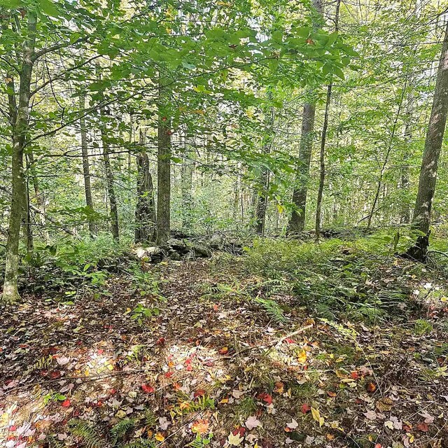 00 Tarbell Hill Rd, Weathersfield, VT 05151