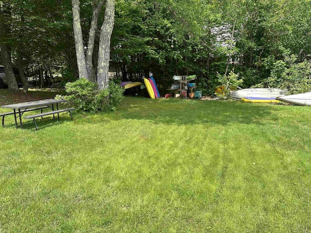 79 Rand Pond Rd, Goshen, NH 03752 - view of grassy yard