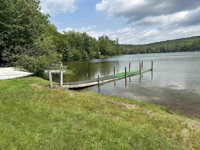 79 Rand Pond Rd, Goshen, NH 03752 - dock area with a wooded view and a water view
