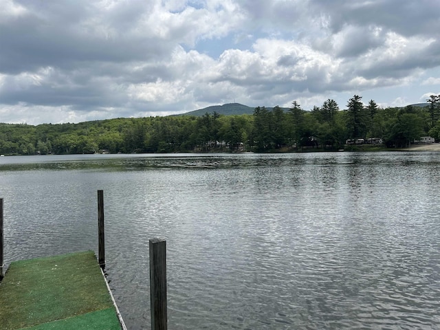 79 Rand Pond Rd, Goshen, NH 03752 - dock with a water view and a view of trees