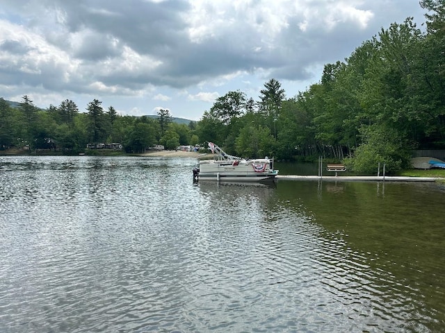 79 Rand Pond Rd, Goshen, NH 03752 - water view with a dock and a forest