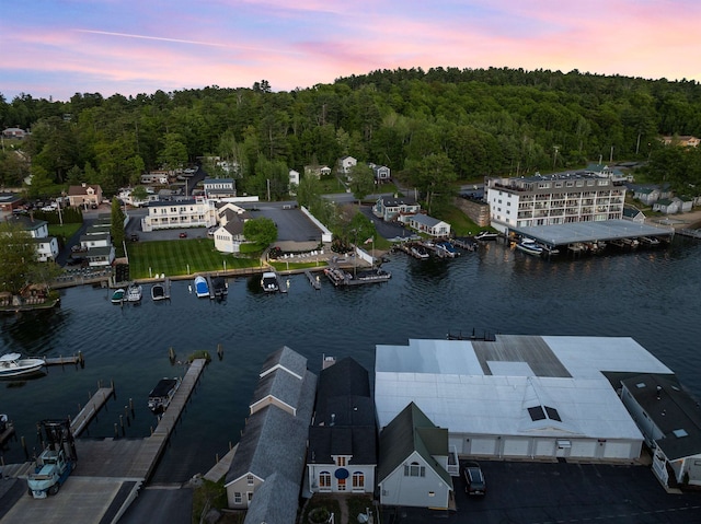 48 Channel Ln, Laconia, NH 03246 - bird's eye view of a forest and a large body of water