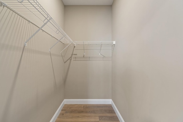 spacious closet with wood finished floors
