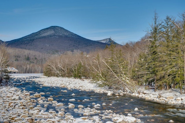 169 S Peak Rd, Lincoln, NH 03251 - view of mountain feature