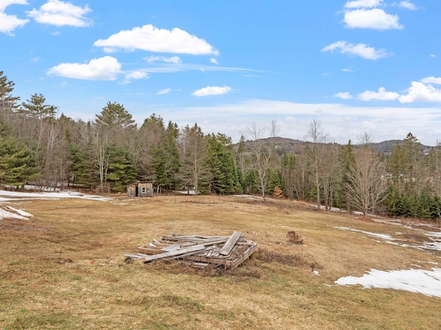 view of yard with a forest view