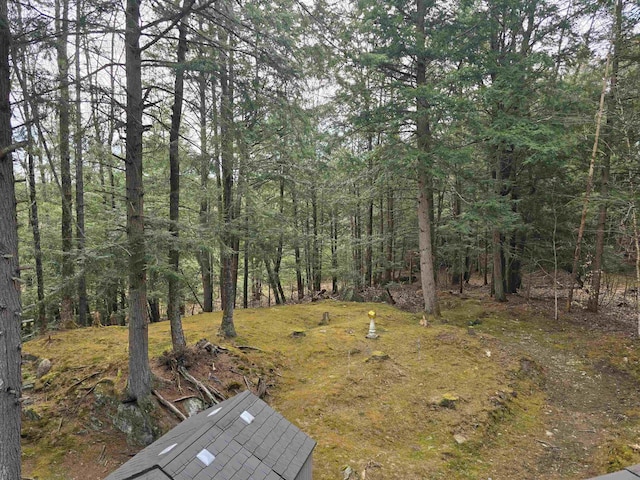 view of yard featuring a wooded view