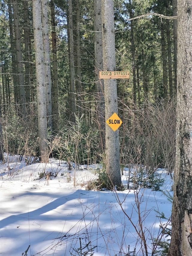 caption unavailable