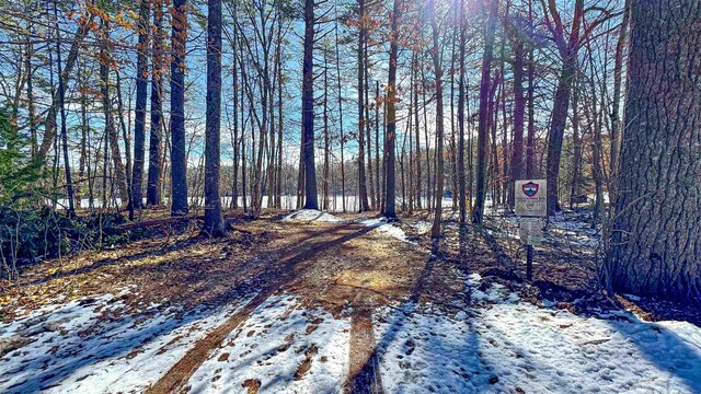 62-B Long Pond Dr, Denmark, ME 04022
