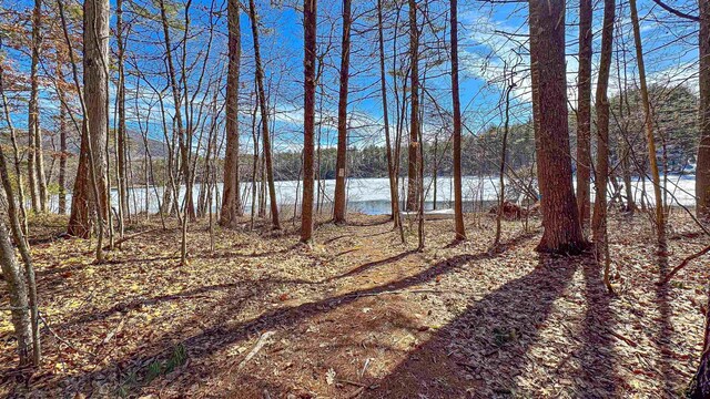 62-B Long Pond Dr, Denmark, ME 04022