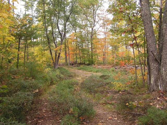 62-B Long Pond Dr, Denmark, ME 04022