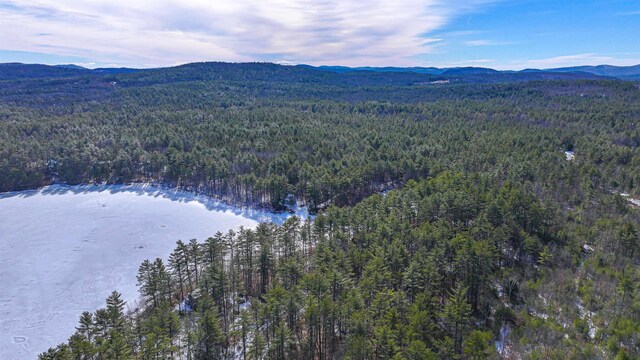 62-B Long Pond Dr, Denmark, ME 04022