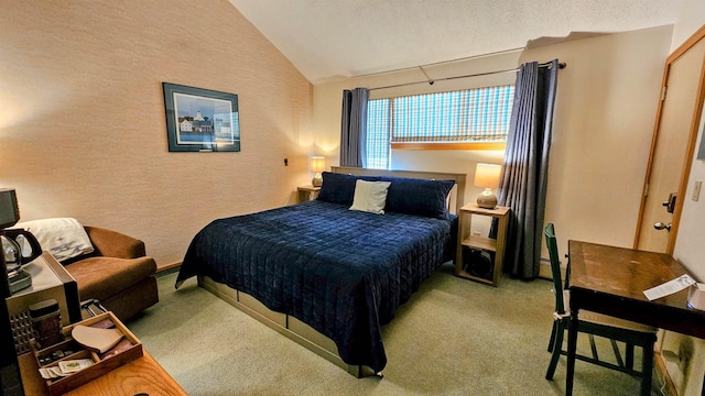 bedroom with a baseboard radiator, carpet floors, vaulted ceiling, and a textured ceiling