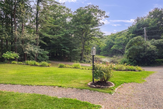 13 Ocean Circuit Dr, York, ME 03902 - surrounding community featuring a yard