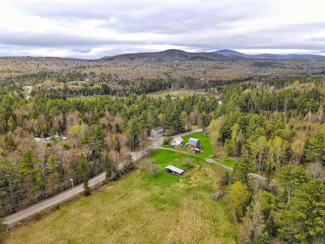 aerial view of a forest and a mountain backdrop