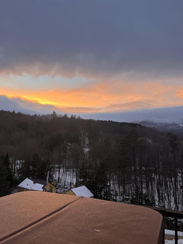 28 Plumley Rdg, Ludlow, VT 05149 - view of mountain backdrop