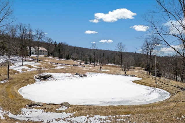 444 Tin Shanty Rd, Shrewsbury, VT 05738 - snowy yard featuring a wooded view