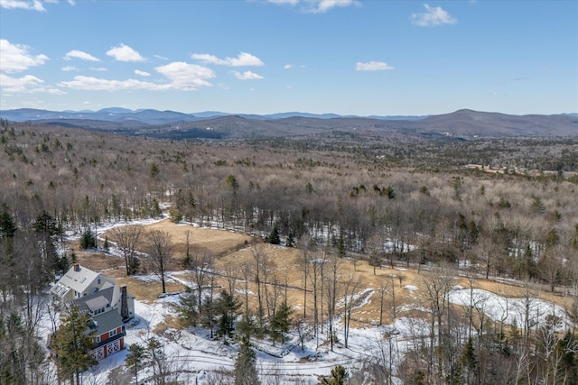 444 Tin Shanty Rd, Shrewsbury, VT 05738 - bird's eye view featuring a mountain view