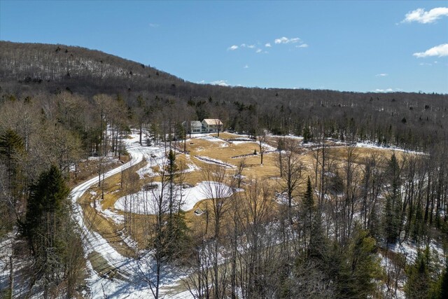 444 Tin Shanty Rd, Shrewsbury, VT 05738 - exterior space featuring a mountain view and a forest view