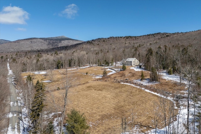 444 Tin Shanty Rd, Shrewsbury, VT 05738 - drone / aerial view featuring a mountain view and a forest view