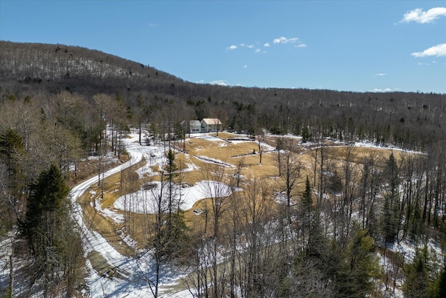 444 Tin Shanty Rd, Shrewsbury, VT 05738 - exterior space with a wooded view and a mountain view