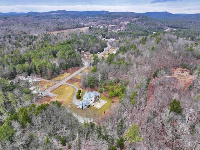 103 Renshaw Rd, Weare, NH 03281 - aerial overview of property's location with a mountainous background and a forest