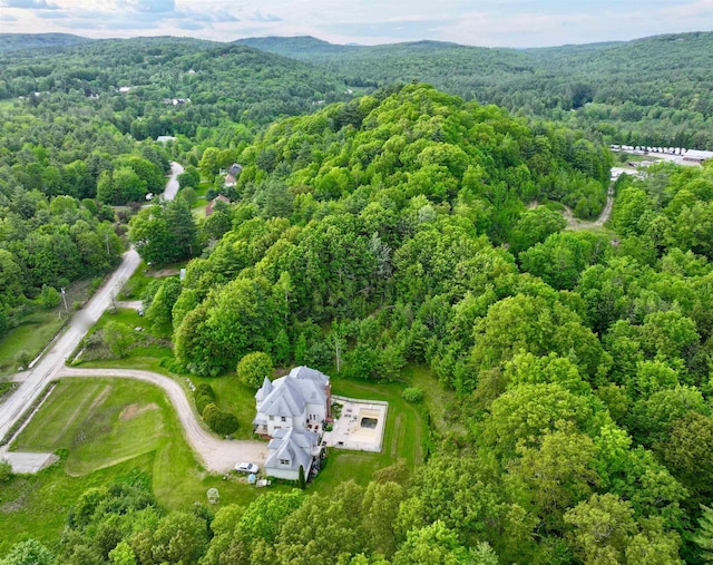 103 Renshaw Rd, Weare, NH 03281 - bird's eye view of a heavily wooded area