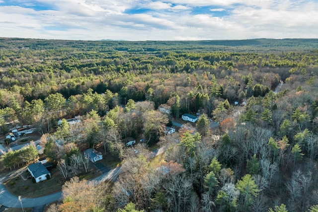 51 Eagles Way, Alton, NH 03809 - aerial overview of property's location featuring a forest